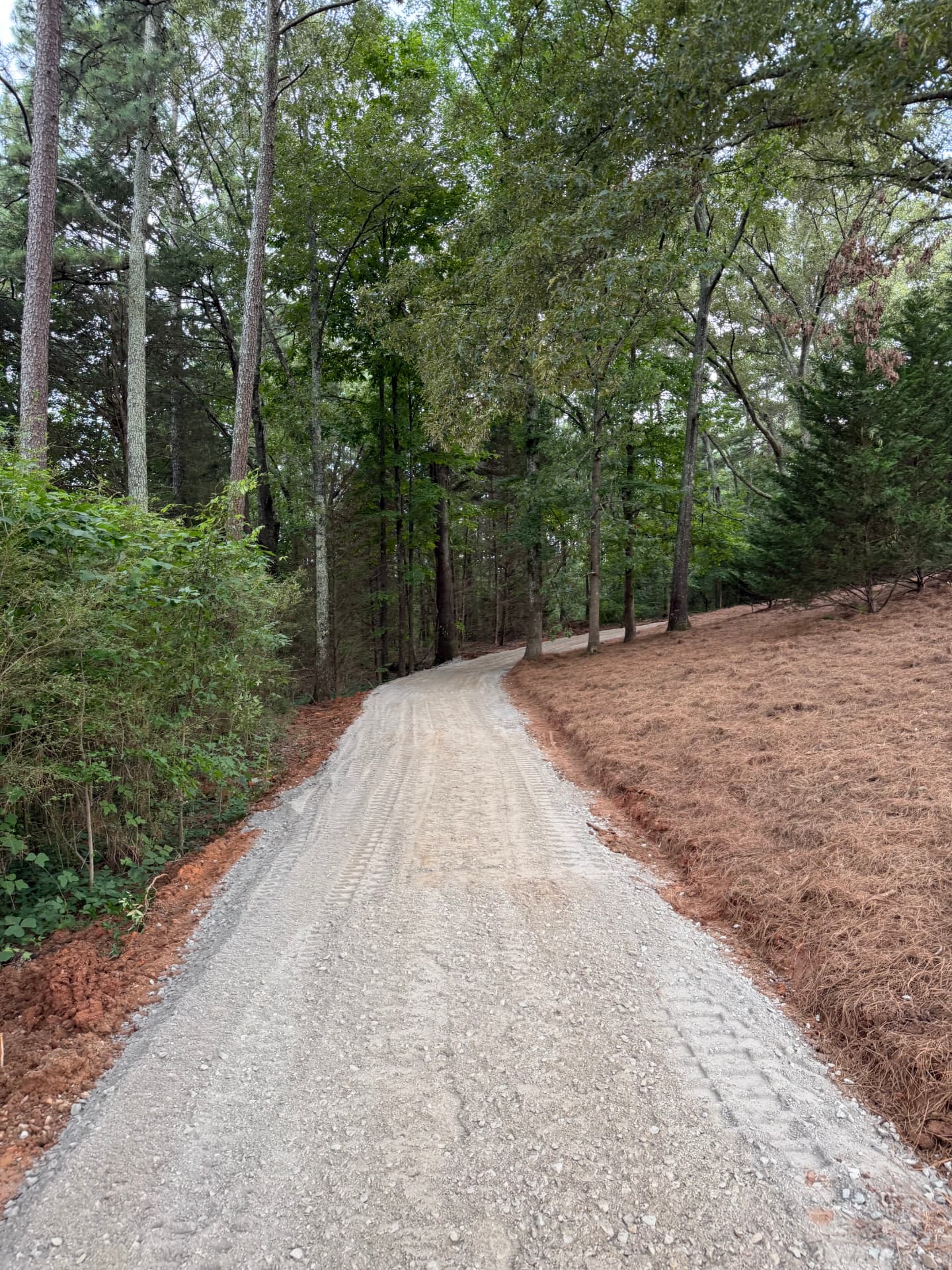 Newly graded gravel path with tire treads winding into a wooded lot, red clay exposed along the edge
